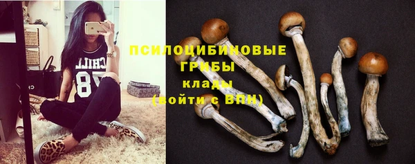 тгк Барнаул