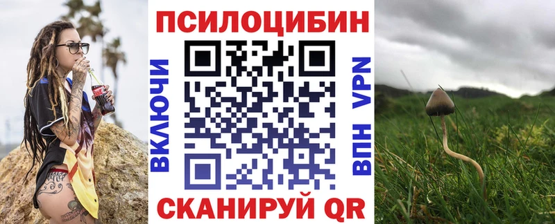 Псилоцибиновые грибы MAGIC MUSHROOMS  Купить закладки  Озёрск 